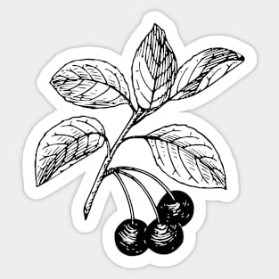 cerise retro black and white aesthetic artwork Sticker